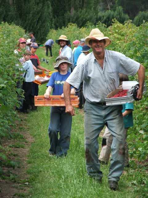 The Westerway Raspberry Farm